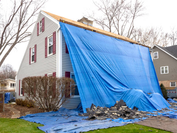 Best Hoarding Cleanup  in Golden Gate, FL